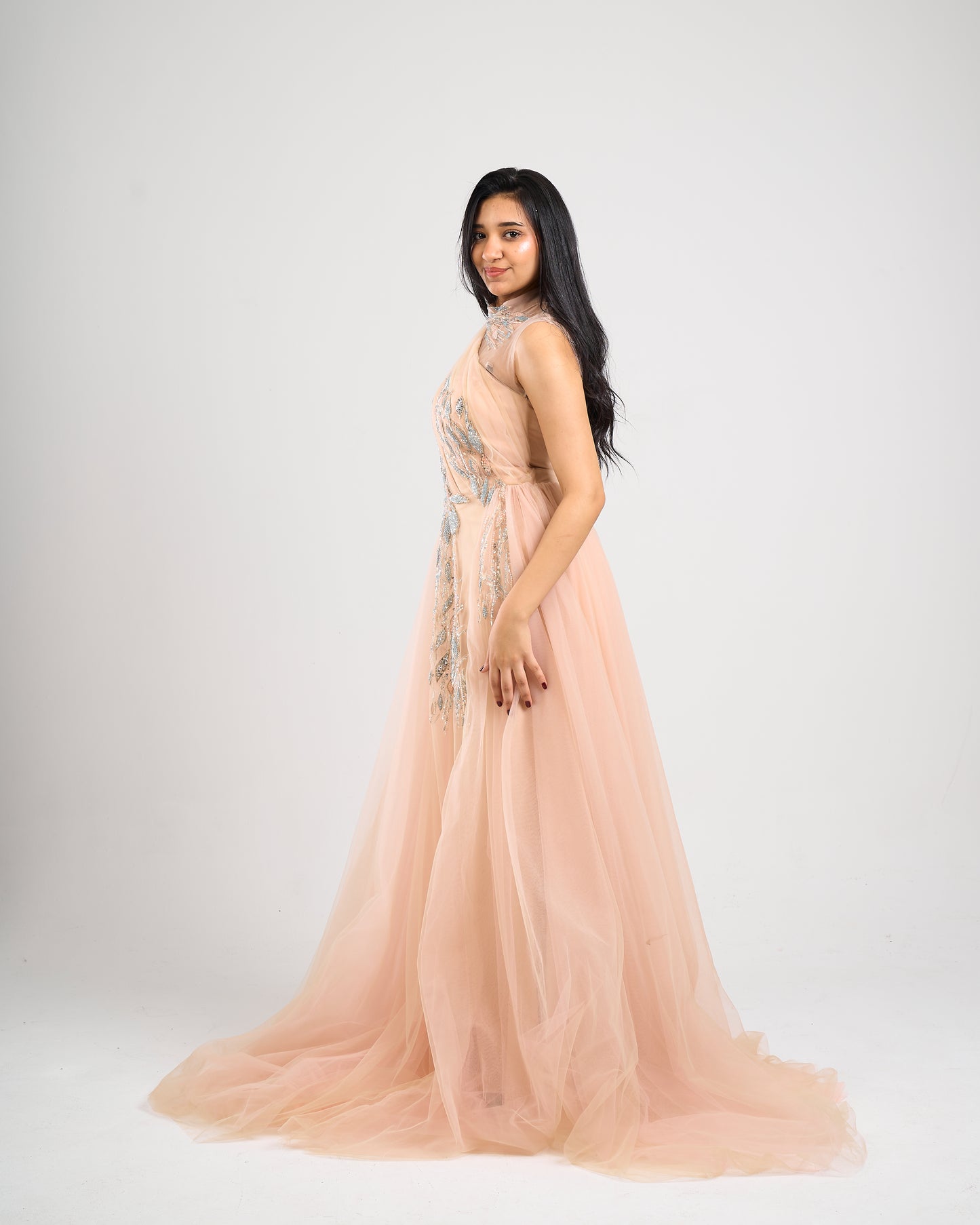 Aurora Embellished Tulle Gown